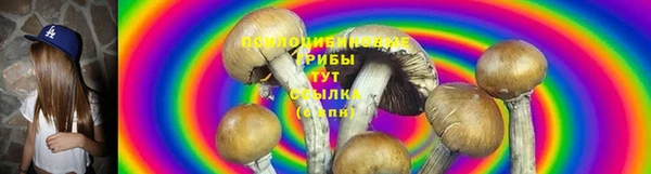 крисы Вязьма