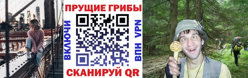 Галлюциногенные грибы Magic Shrooms  где найти наркотики  блэк спрут рабочий сайт  Гусиноозёрск 